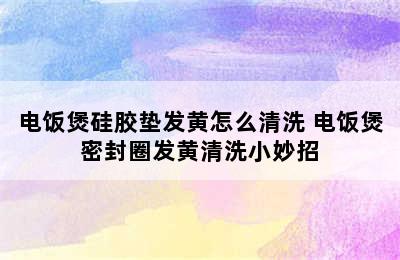 电饭煲硅胶垫发黄怎么清洗 电饭煲密封圈发黄清洗小妙招